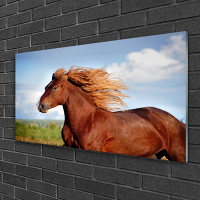 Obraz na skle Kôň zvieratá