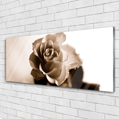 Obraz na skle Ruže kvet