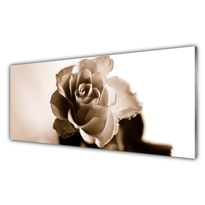 Obraz na skle Ruže kvet