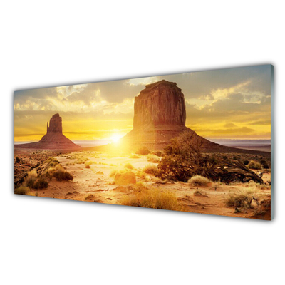 Obraz na skle Púšť slnko krajina