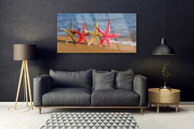 Obraz na skle Pláž hviezdice umenie