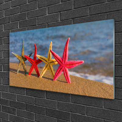 Obraz na skle Pláž hviezdice umenie