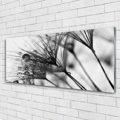 Obraz na skle Abstrakcie rastlina