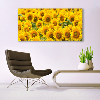 Obraz na skle Slunecznice rastlina