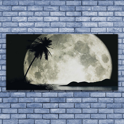 Obraz na skle Noc mesiac palma krajina