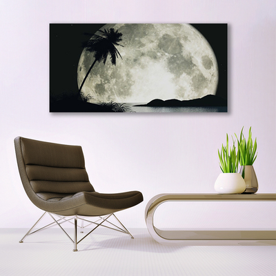 Obraz na skle Noc mesiac palma krajina