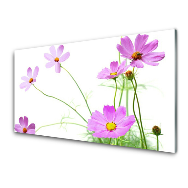 Obraz na skle Kvety rastlina