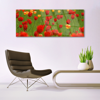Obraz na skle Tulipány rastlina