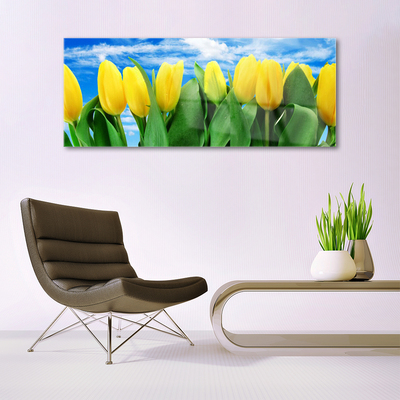 Obraz na skle Tulipány kvety
