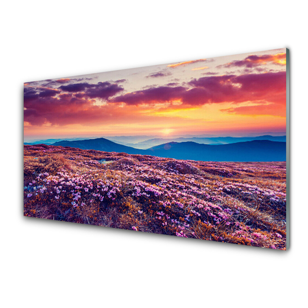 Obraz na skle Lúka hory kvety príroda