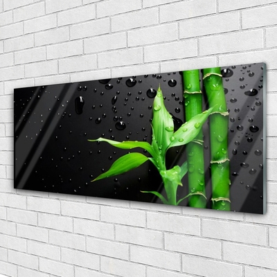 Obraz na skle Bambus listy rastlina