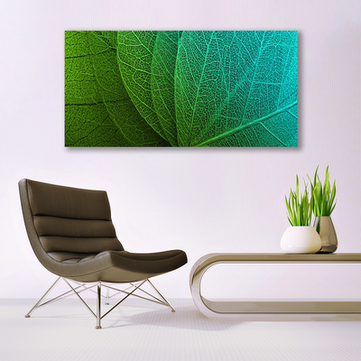 Obraz na skle Abstrakcie listy rastlina