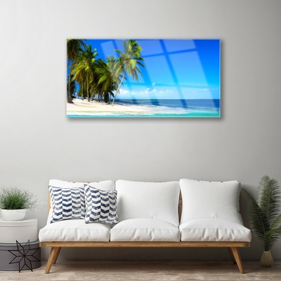 Obraz na skle Palma strom more krajina