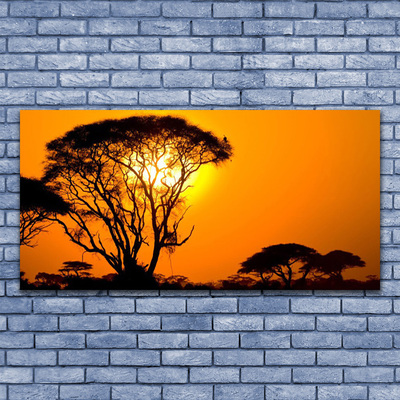 Obraz na skle Strom slnko príroda