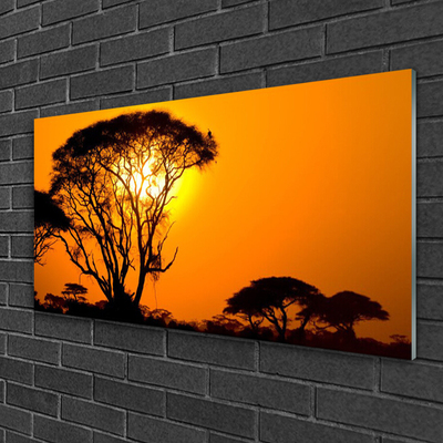 Obraz na skle Strom slnko príroda