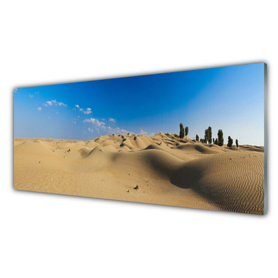 Obraz na skle Púšť krajina