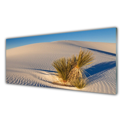 Obraz na skle Púšť krajina