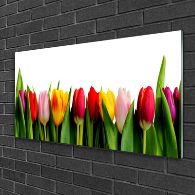 Obraz na skle Tulipány rastlina