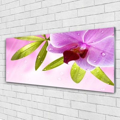 Obraz na skle Kvet listy rastlina