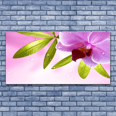 Obraz na skle Kvet listy rastlina