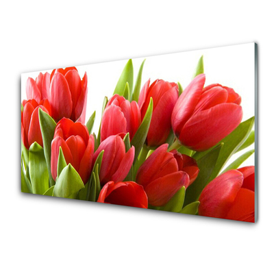 Obraz na skle Tulipány kvety rastlina