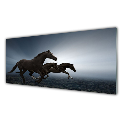 Obraz na skle Kone zvieratá