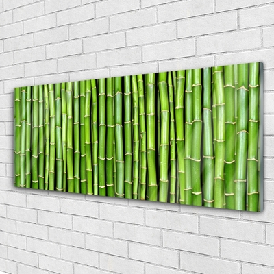 Obraz na skle Bambus kvet rastlina