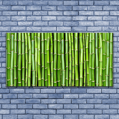 Obraz na skle Bambus kvet rastlina