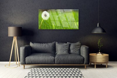 Obraz na skle Púpava tráva rastlina