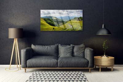 Obraz na skle Hora lúka krajina