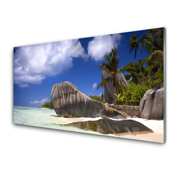 Obraz na skle Skaly pláž príroda