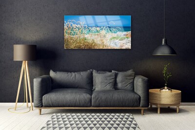 Obraz na skle Pláž príroda