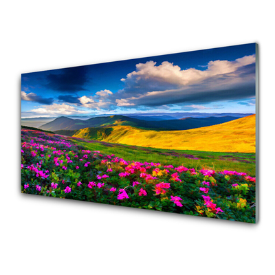 Obraz na skle Lúka kvety príroda