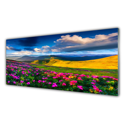 Obraz na skle Lúka kvety príroda