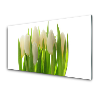 Obraz na skle Tulipány rastlina príroda