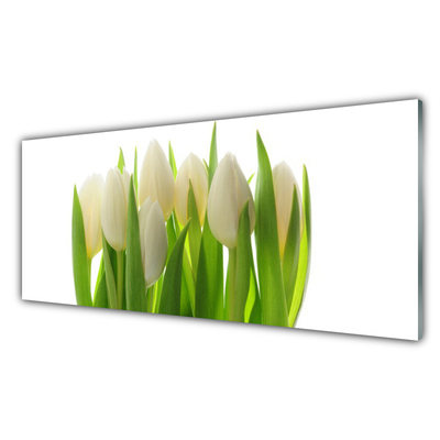 Obraz na skle Tulipány rastlina príroda