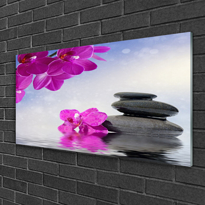 Obraz na skle Kvety kamene rastlina