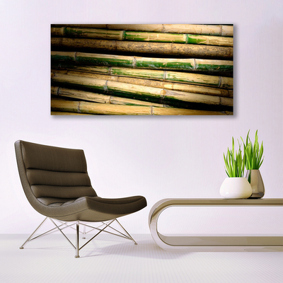 Obraz na skle Bambus rastlina príroda