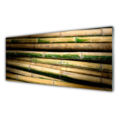 Obraz na skle Bambus rastlina príroda