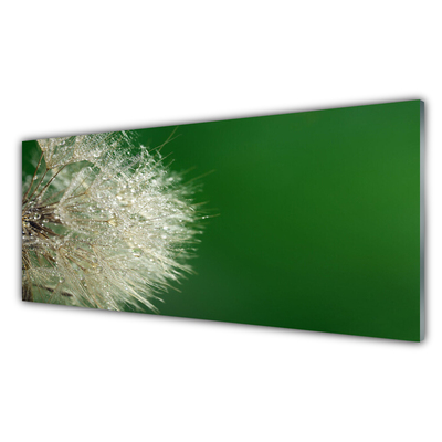 Obraz na skle Púpava rastlina