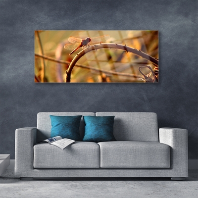Obraz na skle Vážka príroda rastlina