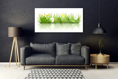 Obraz na skle Tráva príroda rastlina
