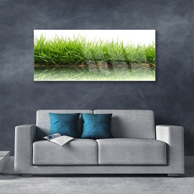 Obraz na skle Tráva voda príroda rastlina