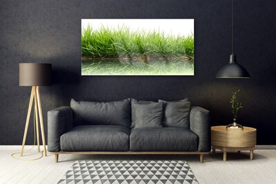 Obraz na skle Tráva voda príroda rastlina
