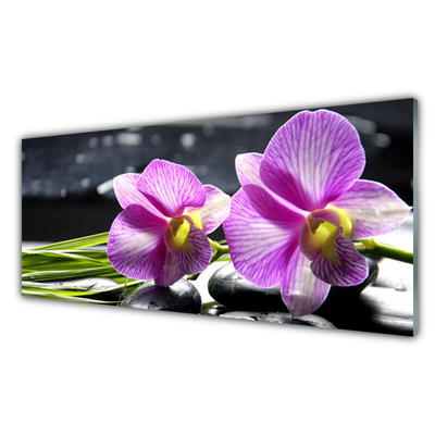 Obraz na skle Kvety rastlina príroda