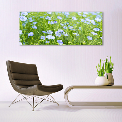 Obraz na skle Kvety tráva rastlina príroda