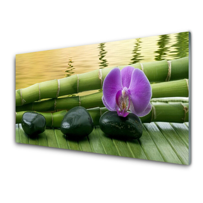 Obraz na skle Kvet kamene bambus príroda