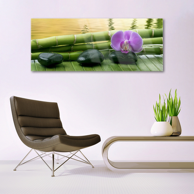Obraz na skle Kvet kamene bambus príroda