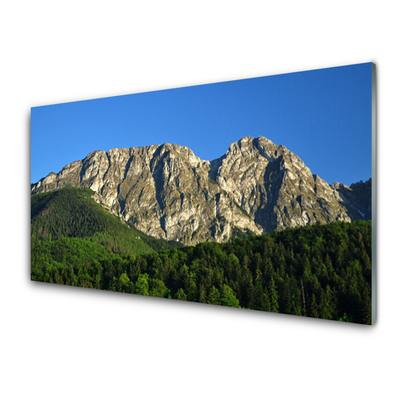 Obraz na skle Hora les príroda