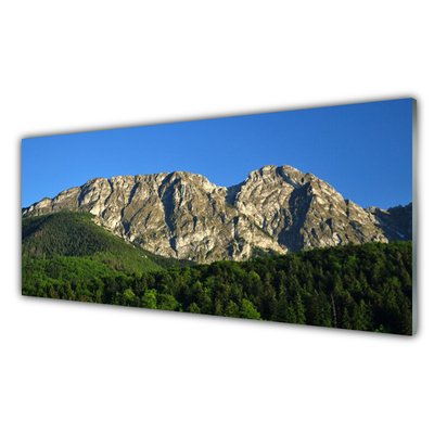 Obraz na skle Hora les príroda